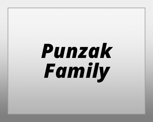 logo-punzak-family